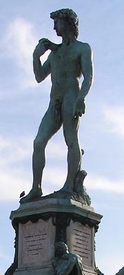 david