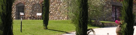 outdoor photo